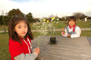 オンライン英会話のユーフォンに付いて